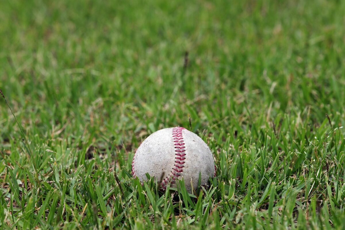 A portable baseball practice net in a garden